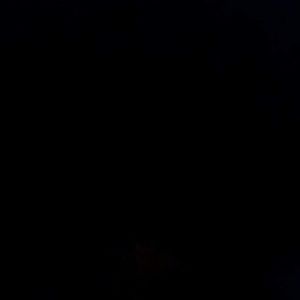 Meet your Posher, Joelle